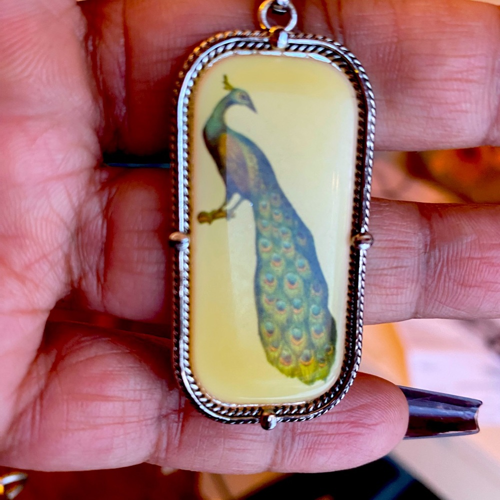 Peacock Pendant with Chain
the back has "Allison" engraved on it